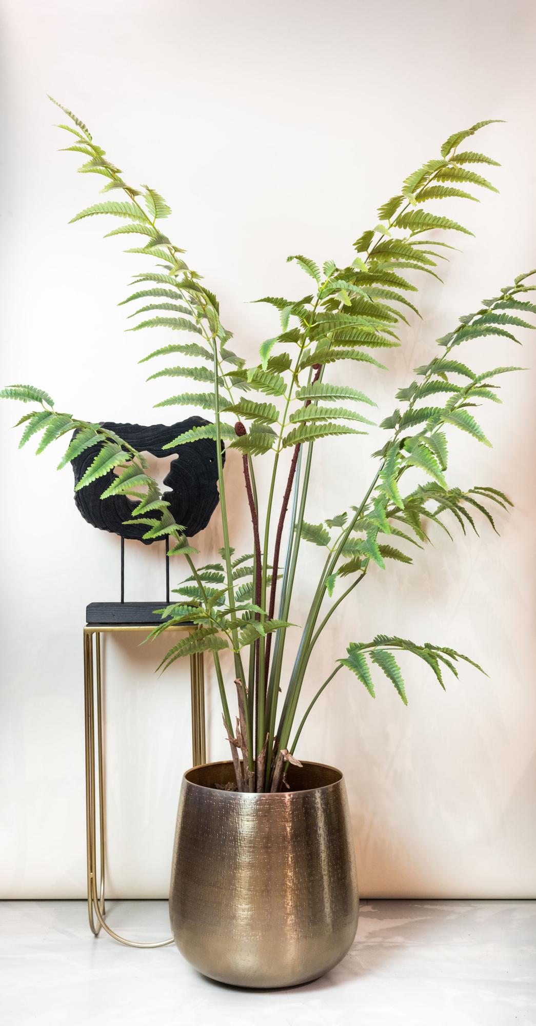 Künstliche Pflanze - Rumohra Adiantiformis - Lederfarn - 150 cm