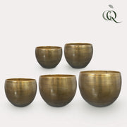 Juego de 5 Rowen de aluminio color oro - Oro