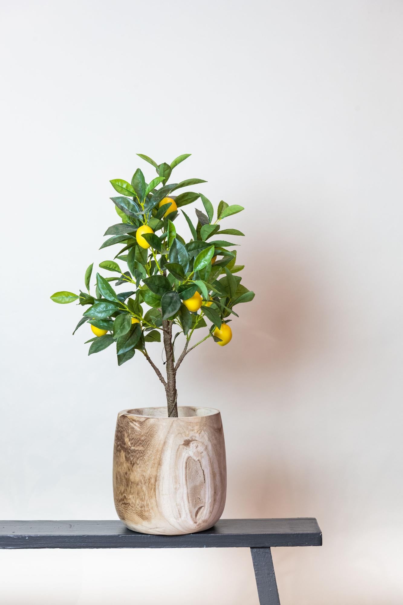 Pianta artificiale - Citrus Limonia - Albero di limone - 75 cm