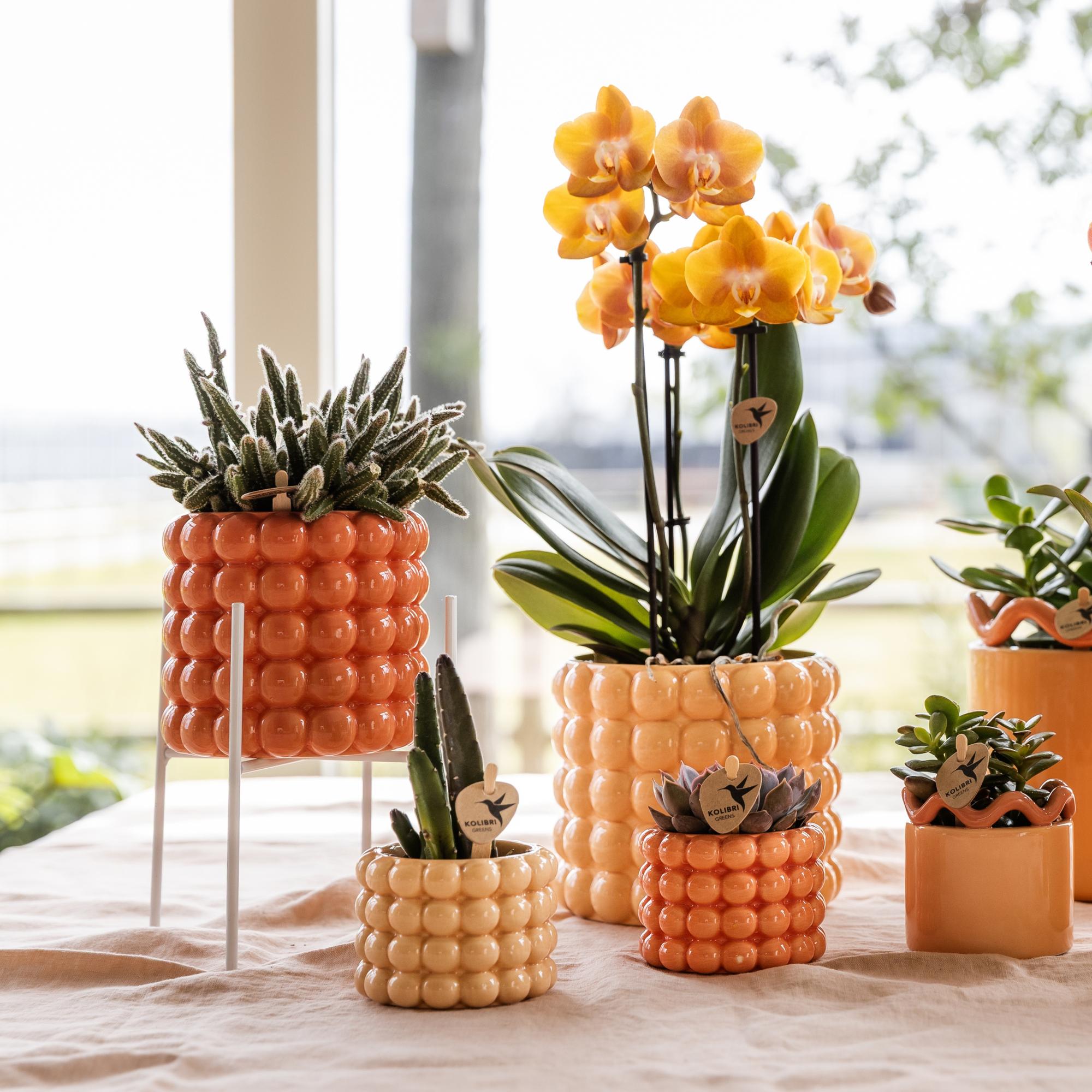 Kolibri Home | Plantenstandaard - Wit metalen planten verhoging Ø12cm