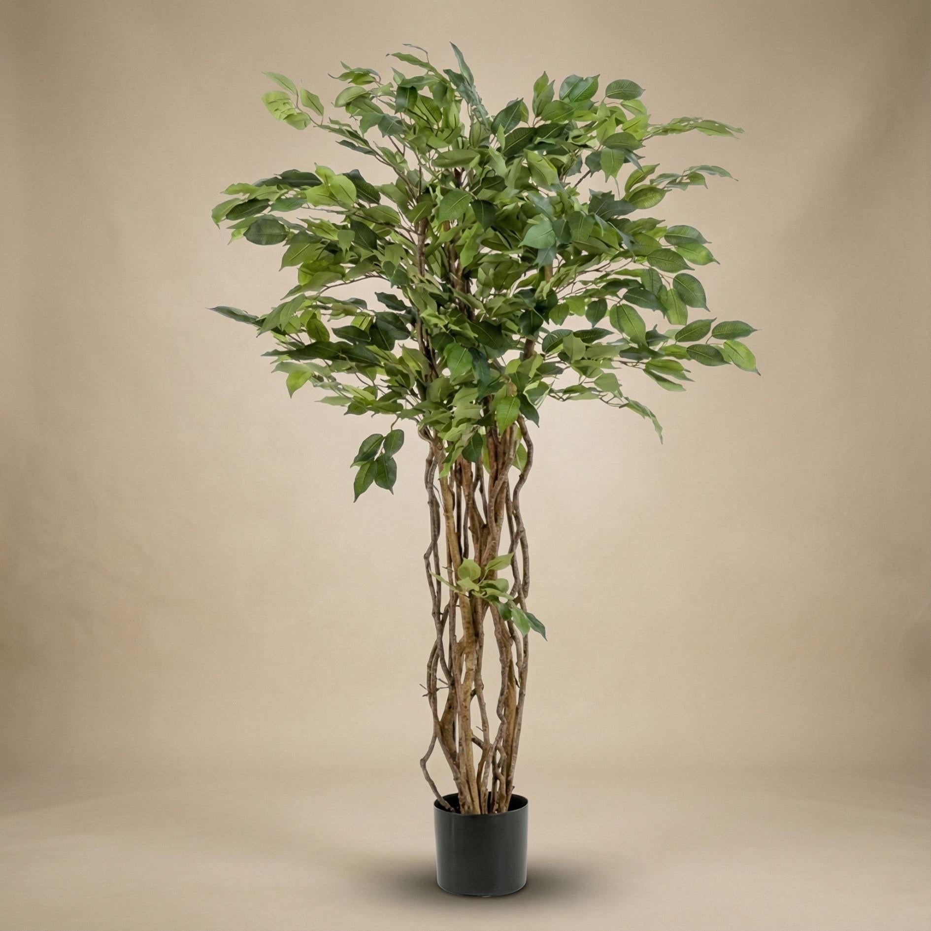 Künstlicher Ficus-Liane-Baum 140 cm - Künstliche Pflanze