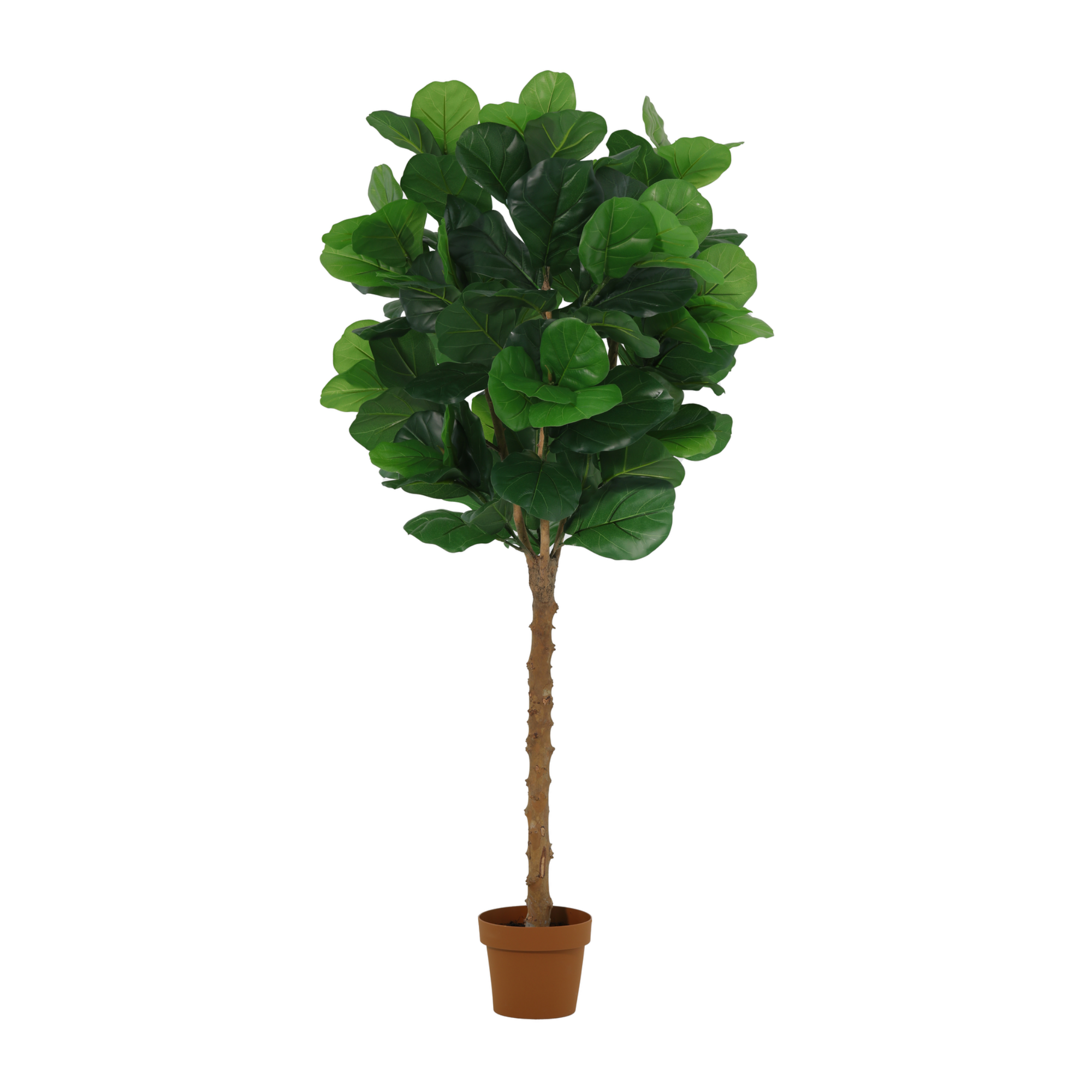 Kunstplant Ficus lyrata tree - 160cm