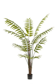 Künstliche Pflanze - Rumohra Adiantiformis - Lederfarn - 180 cm