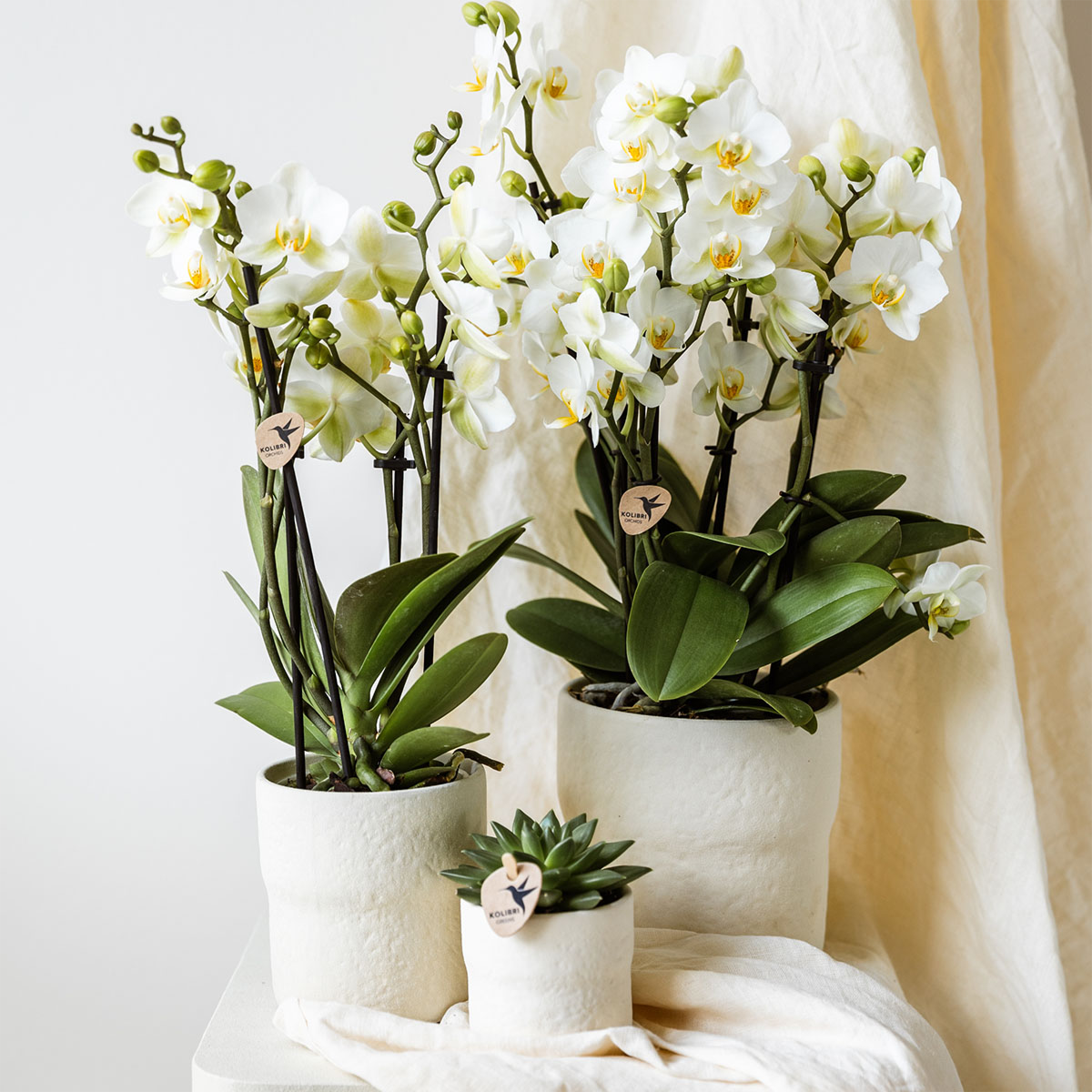 Kolibri Home | Rustikaler Dekotopf – Weiß – Ø 12 cm