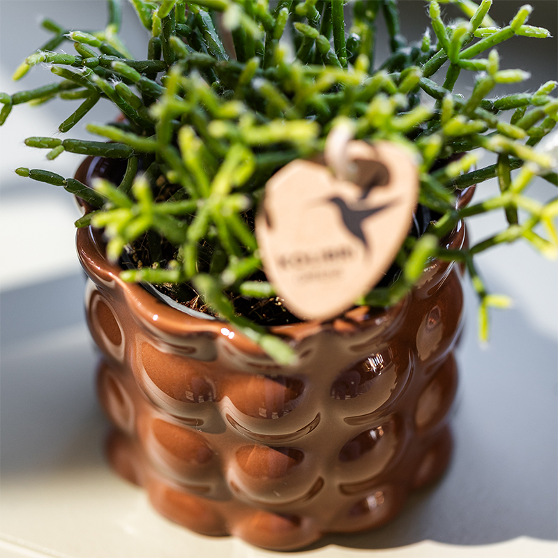 Kolibri Home | Cotton Shine sierpot - Brown - Ø6cm