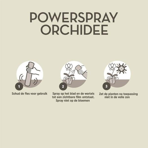Pokon Powerspray orquídea 300 ml