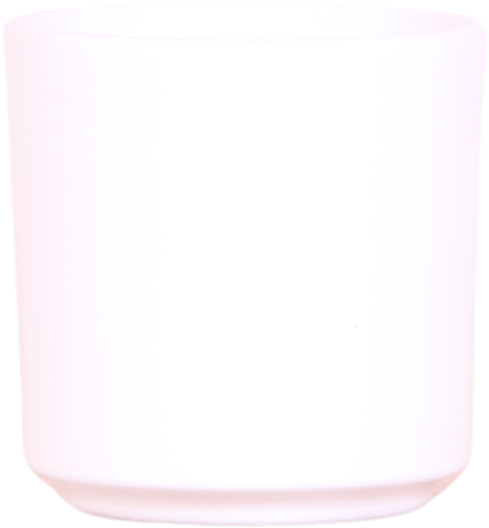 Kolibri Orchids | Planta de regalo para la buena suerte | Orquídea de Lausana con maceta, tarjeta y bolsa de regalo