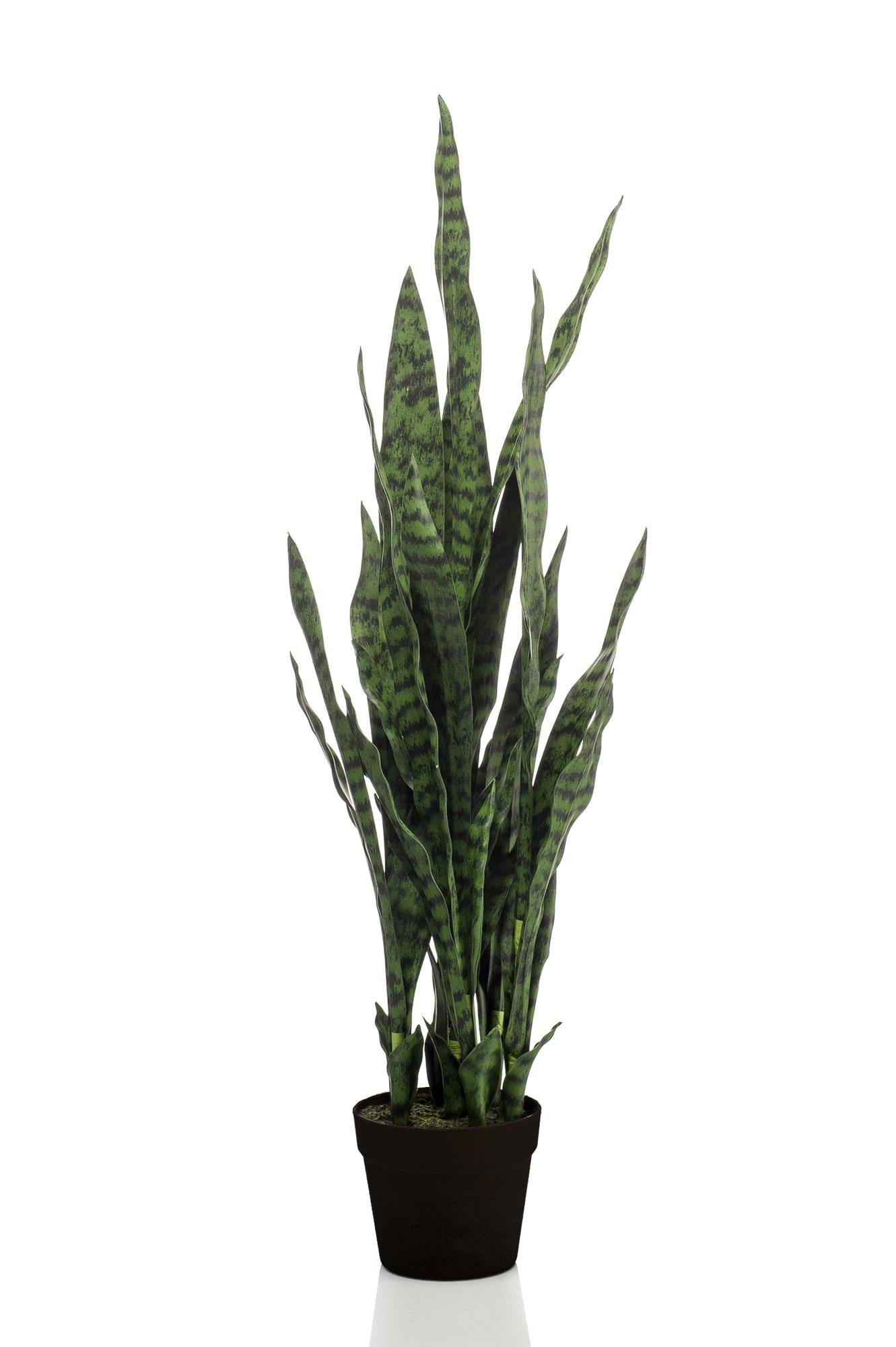 Plante artificielle - Sansevieria black coral - Langue de belle-mère - 97 cm