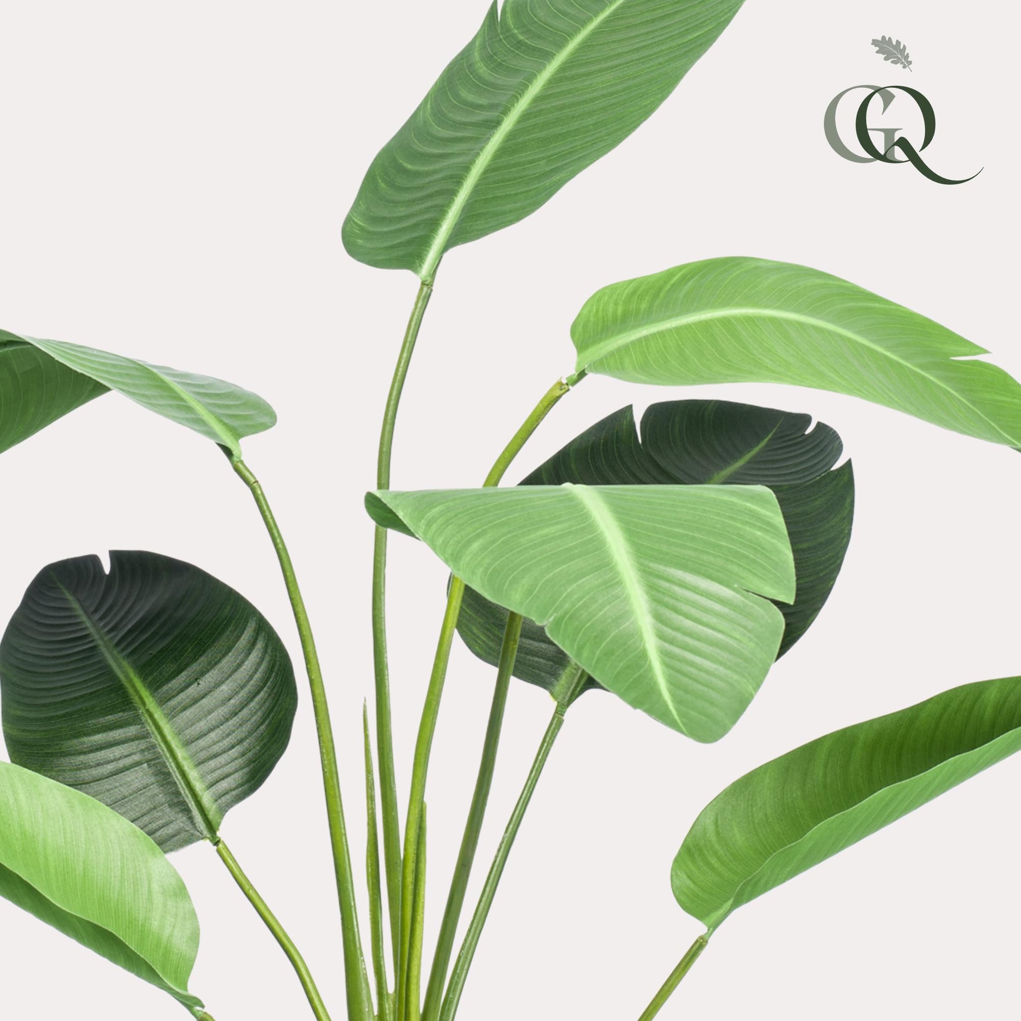 Künstliche Pflanze – Strelitzia nicolai – Paradiesvogelblume – 120 cm