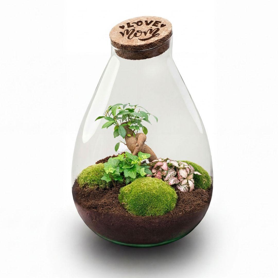 LOVE MOM' terrarium Drop XL + gegraveerde kurk - Fles terrarium DIY kit – Ø 24 cm ↑ 37 cm - Moederdag
