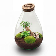 LOVE MOM' terrarium Drop XL + gegraveerde kurk - Fles terrarium DIY kit – Ø 24 cm ↑ 37 cm - Moederdag