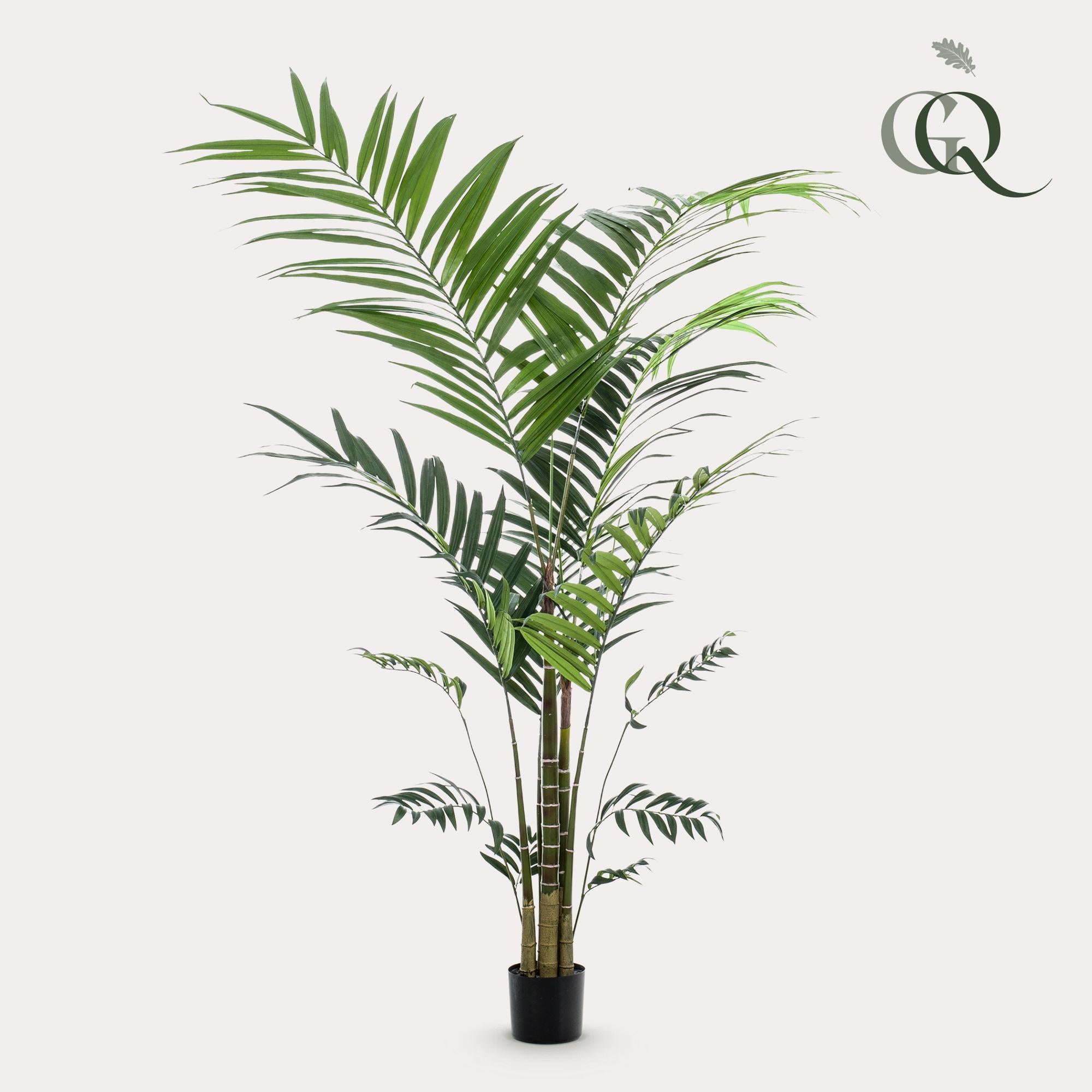 Pianta artificiale - Kentia - Palma Kentia - 210 cm