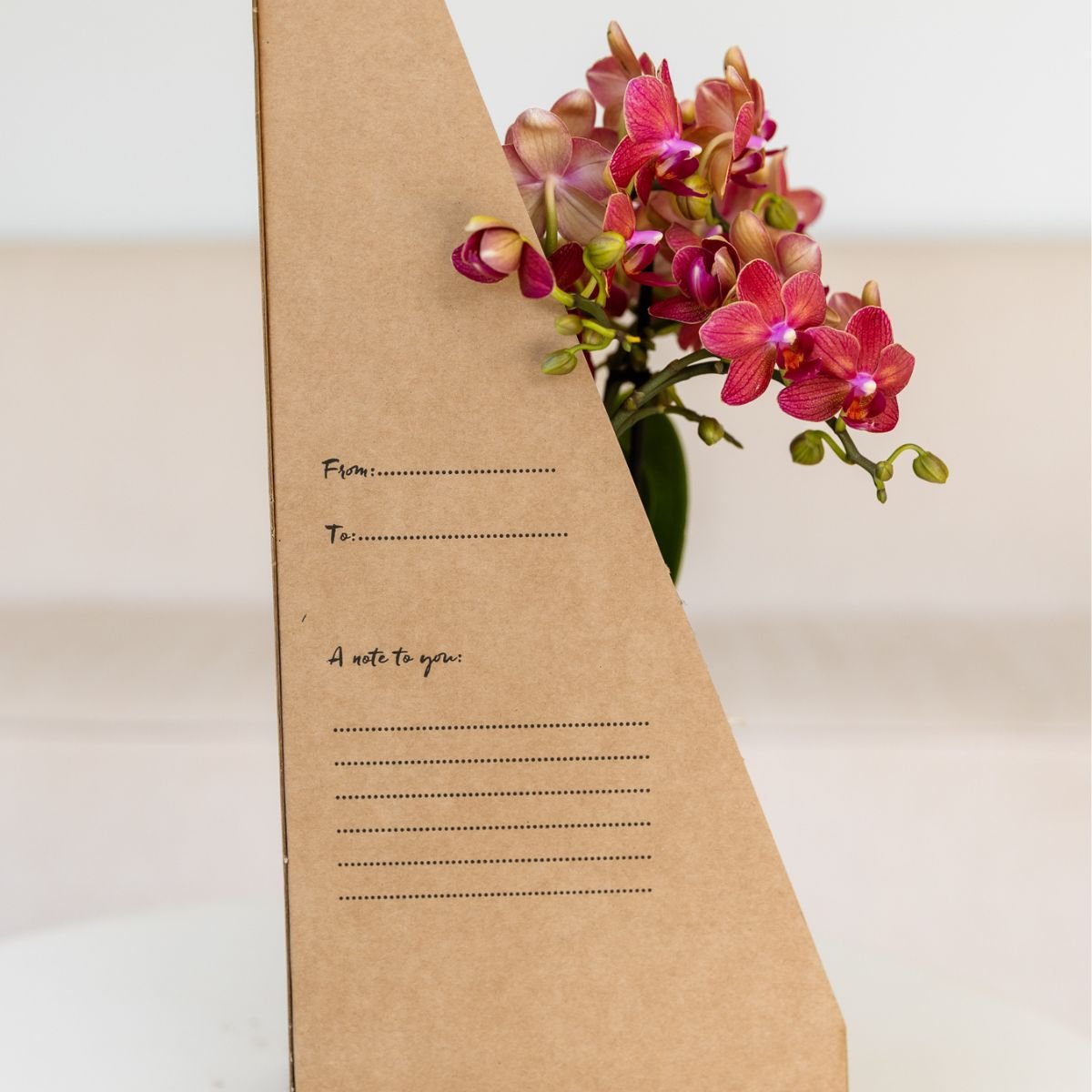 Kolibri Orchids | Paarse Phalaenopsis Orchidee - Mineral Vienna in Gradience Sierpot Lila met Giftbox - Ø9 cm