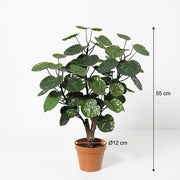 Kunstplant - Polysicas Fabian - 55cm