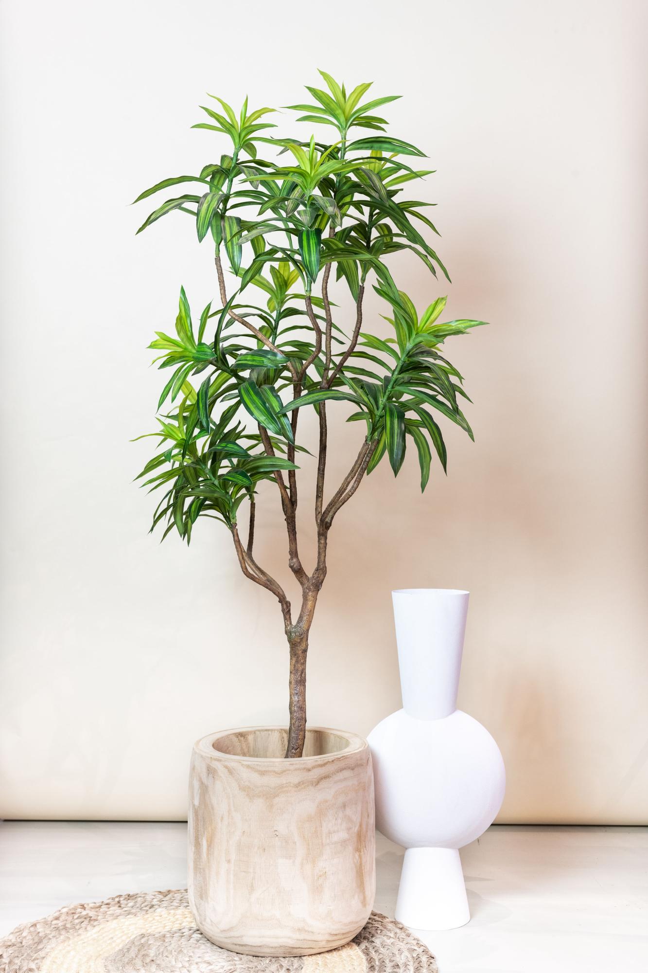 Pianta artificiale - Dracaena - Albero del drago - 130 cm