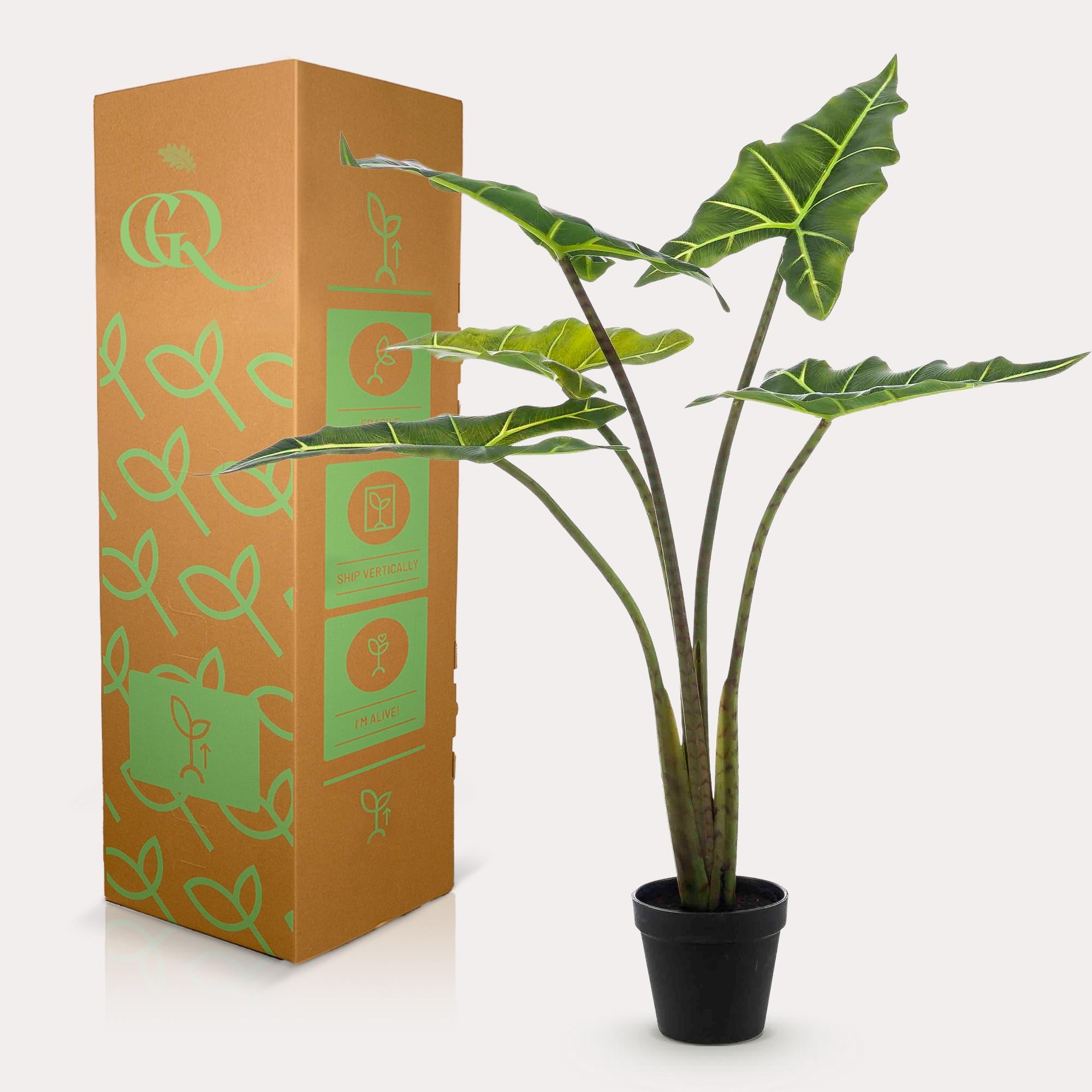 Artificial plant - Alocasia Frydek - Elephant Ear - 80 cm