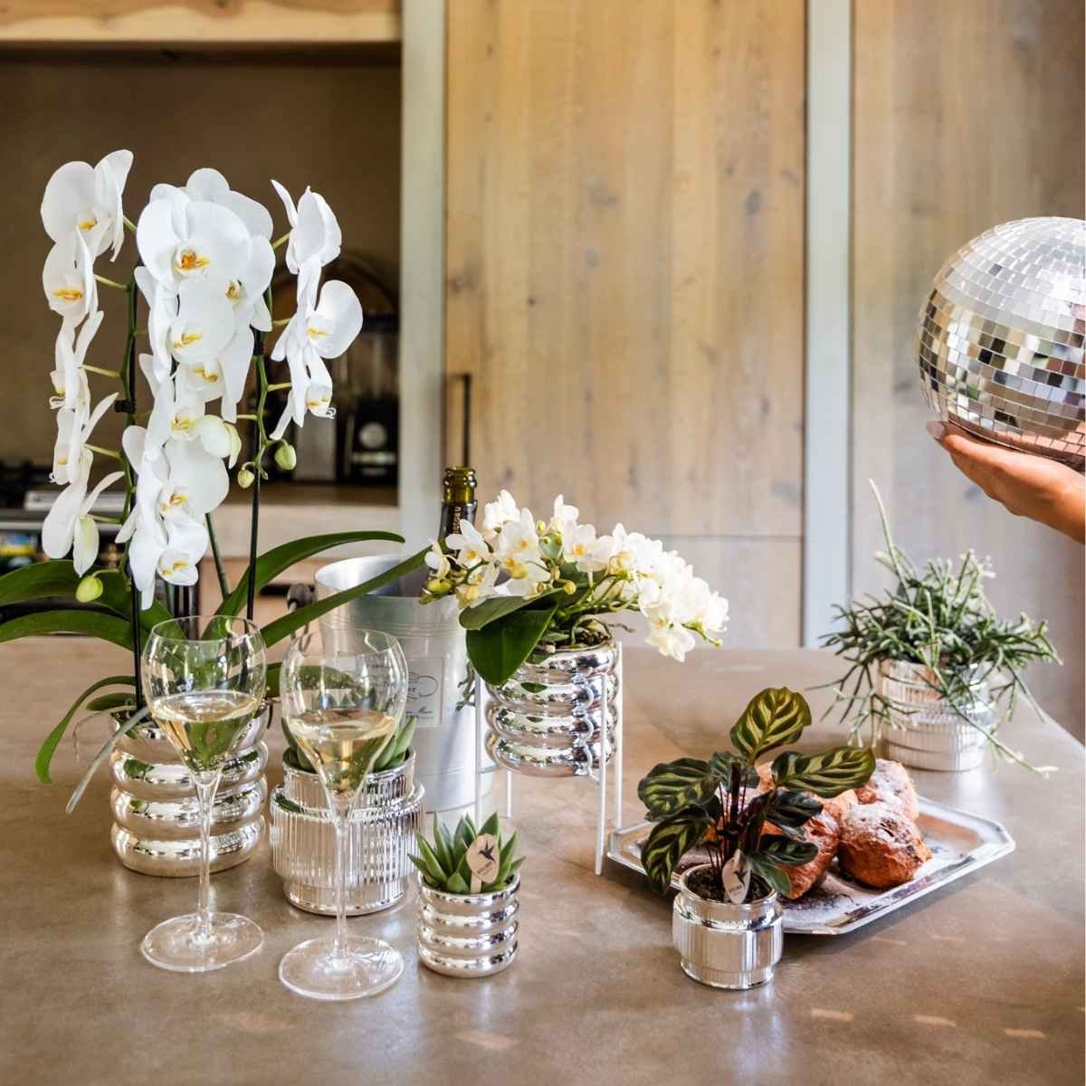 Kolibri Home | Allure Shiny sierpot - Zilver - Ø6cm
