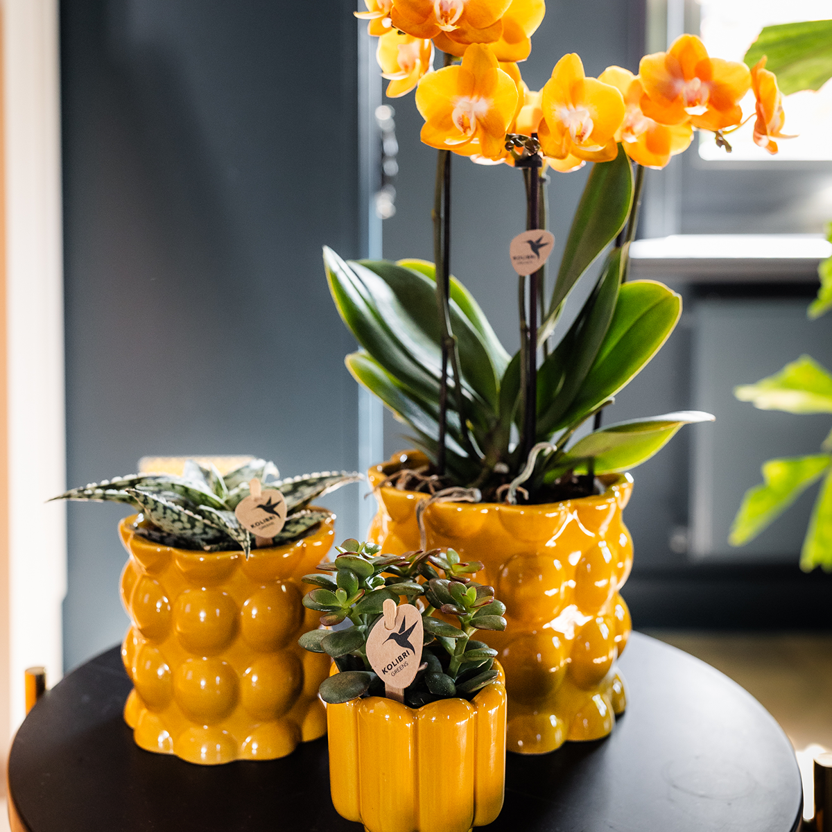 Kolibri Home | Cotton Shine sierpot - Yellow - Ø12cm