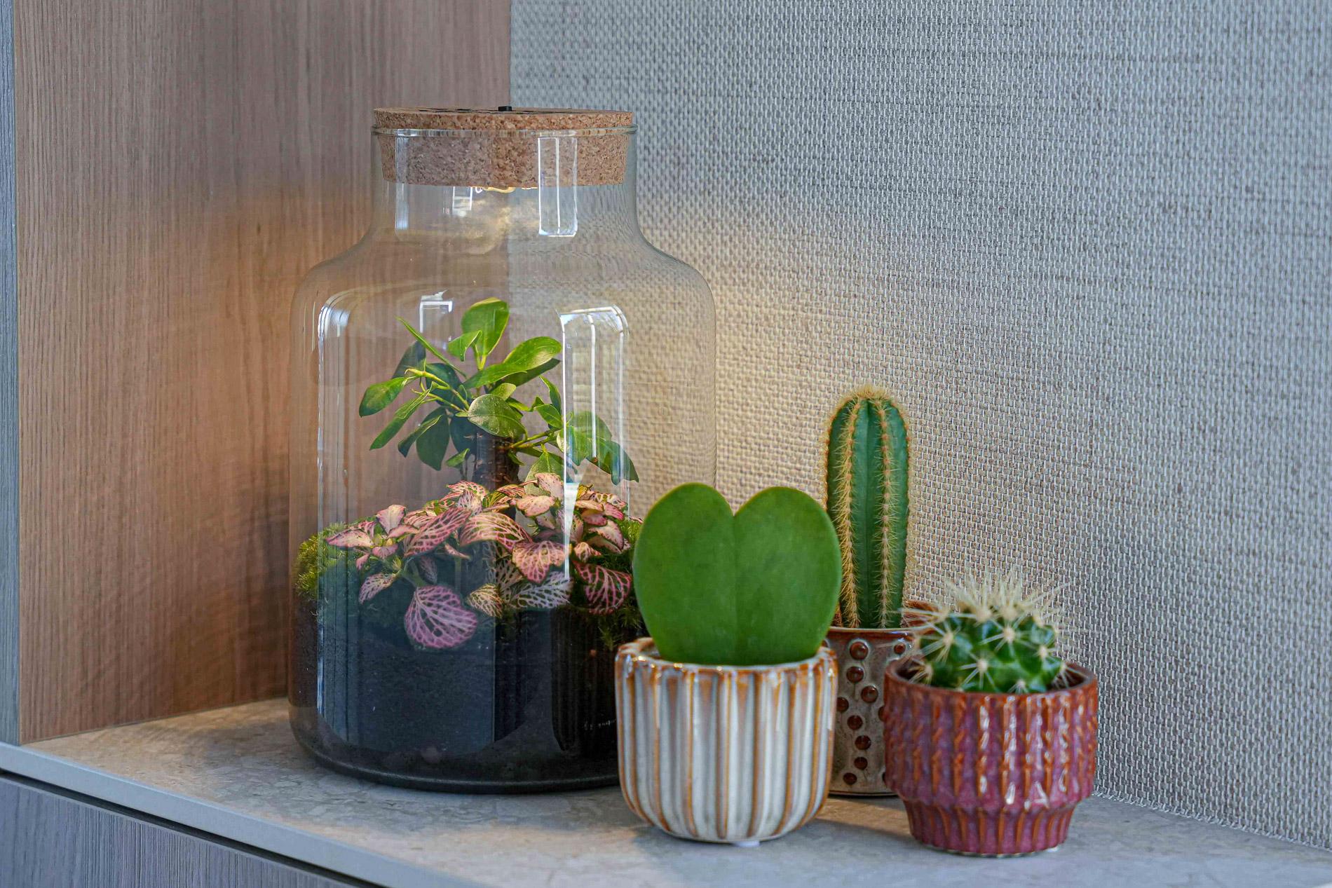 LOVE MOM' terrarium Little Milky + gegraveerde kurk met licht - Fles terrarium DIY kit - Ø 17 cm ↑ 25 cm - Moederdag