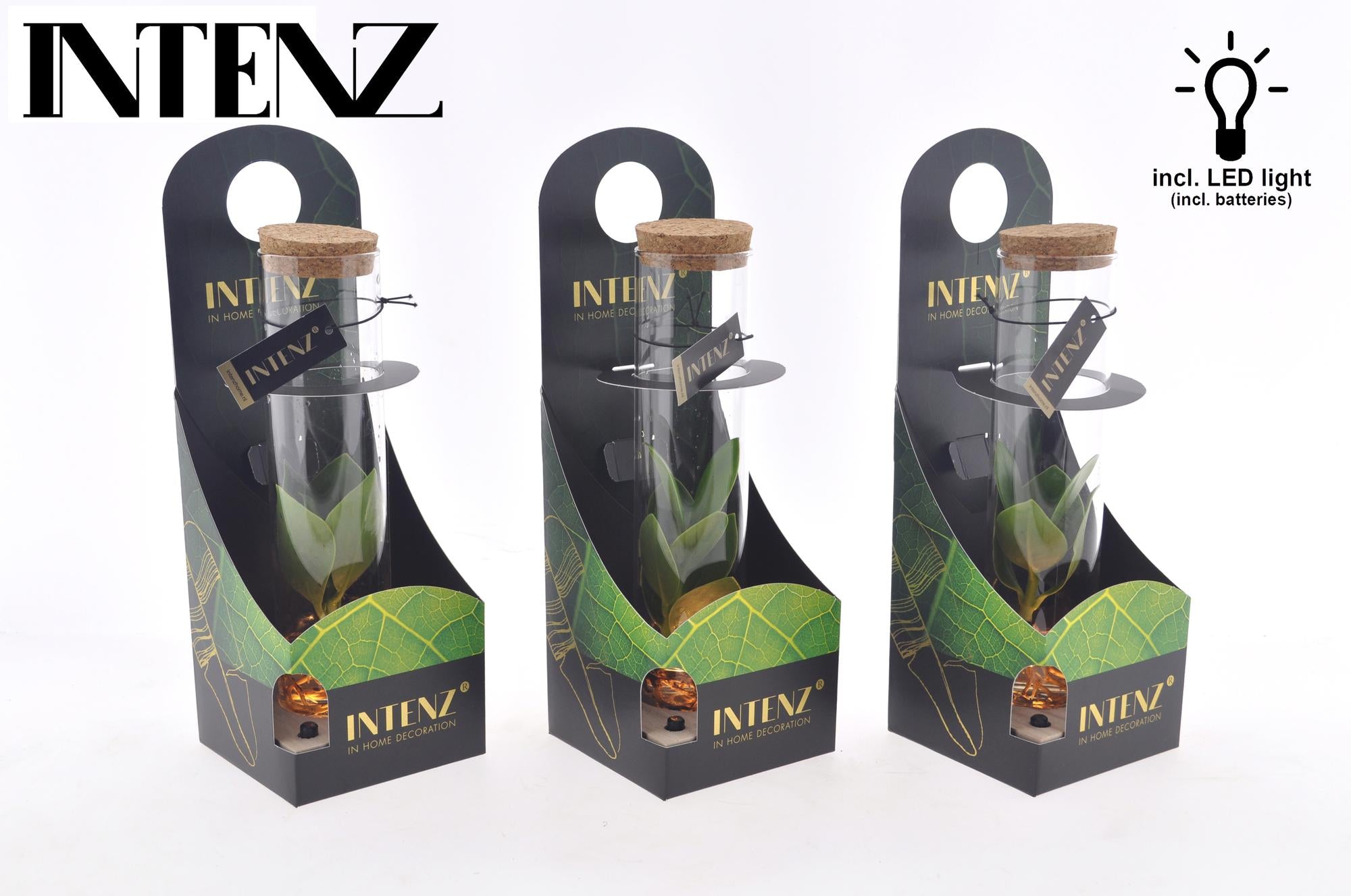 Clusia In Tube Glas + LED + Verpakking - Ø5cm - ↕10cm