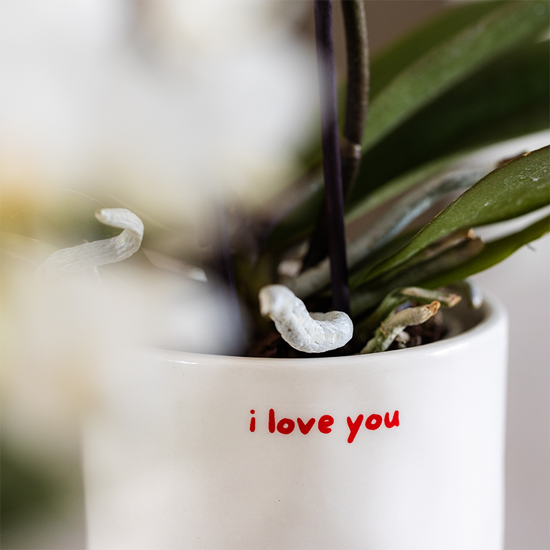 Kolibri Home | Vaso decorativo I love you - Ø9cm