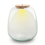 Terrarium fles - Model: Emma + led kurk - ↑ 25cm - Ø 23 cm