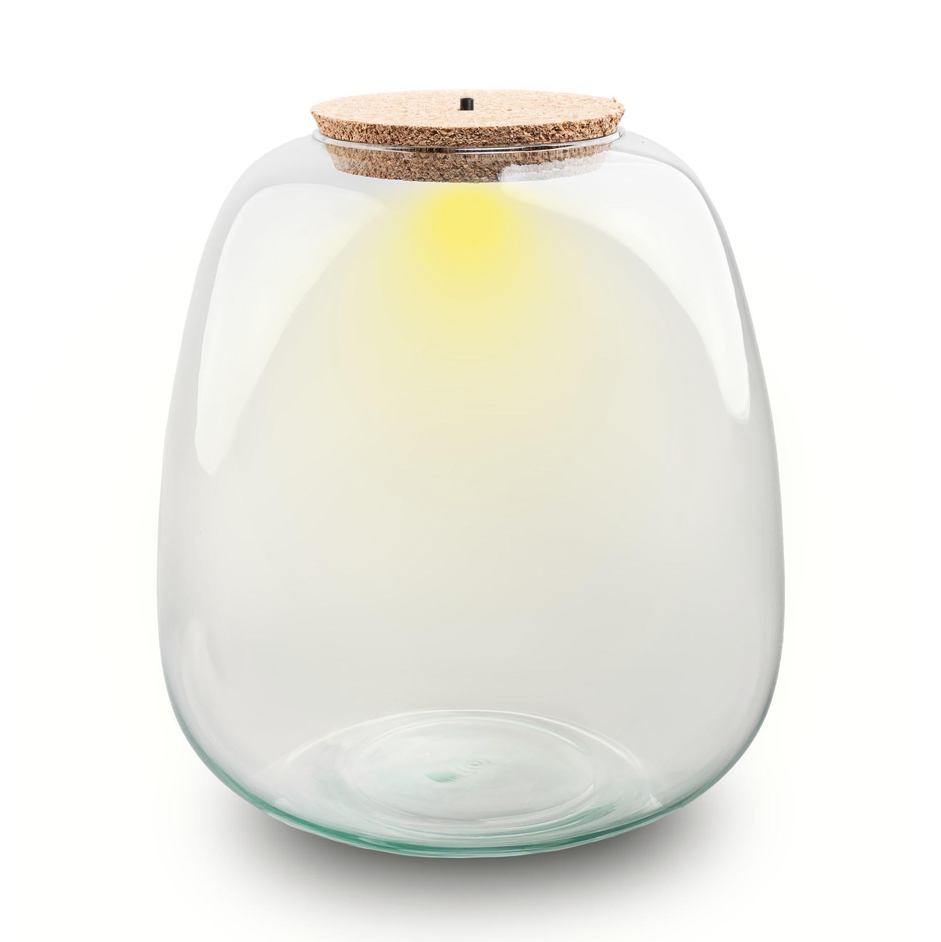 Terrarium fles - Model: Emma + led kurk - ↑ 25cm - Ø 23 cm