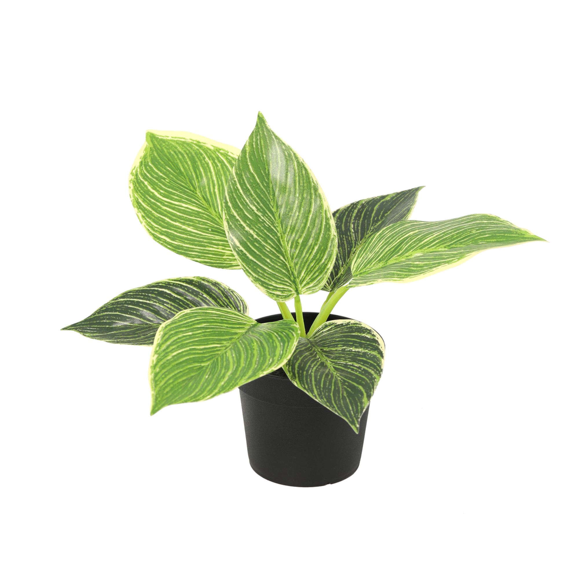 Kunstplant Philodendron birkin - 20cm