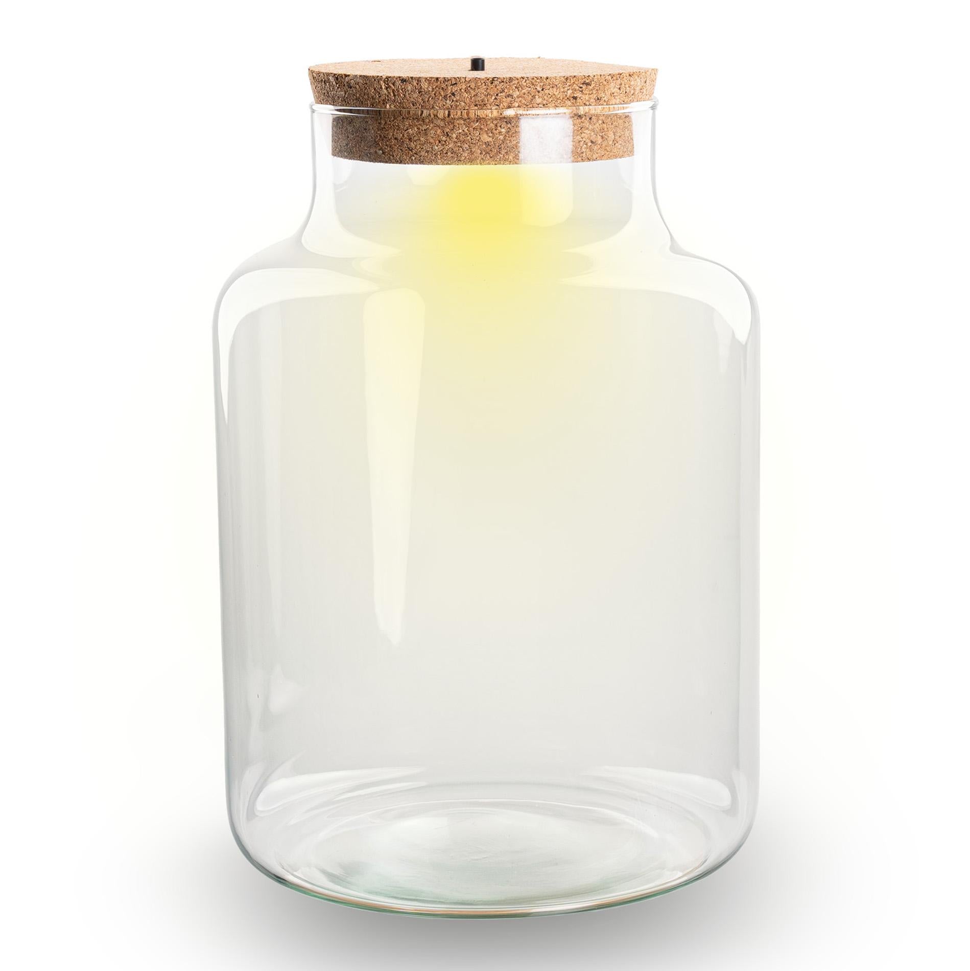 Little Milky Terrarium Bottle with Cork - Closed Large Terrarium ↑ 24.5 cm