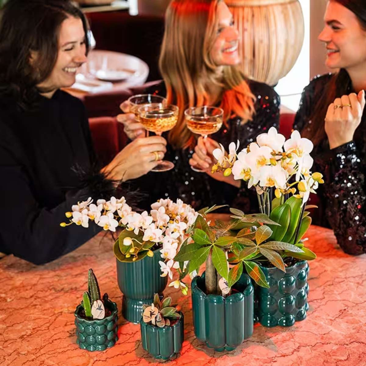 Kolibri Orchids | Combi Deal - 2 Witte Phalaenopsis Orchideeën Botanic Nazare - Ø9 cm