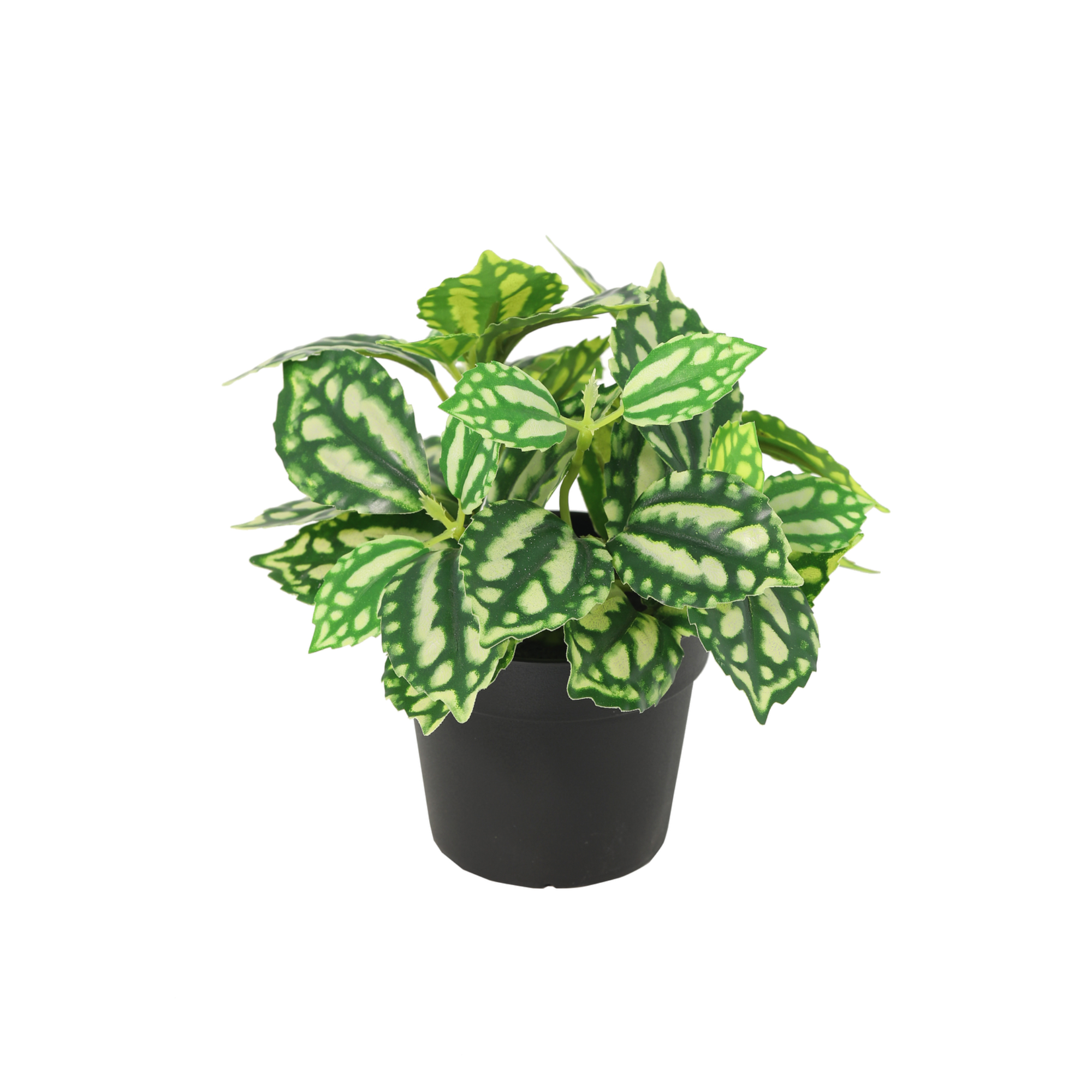 Kunstplant Ice water - 8cm