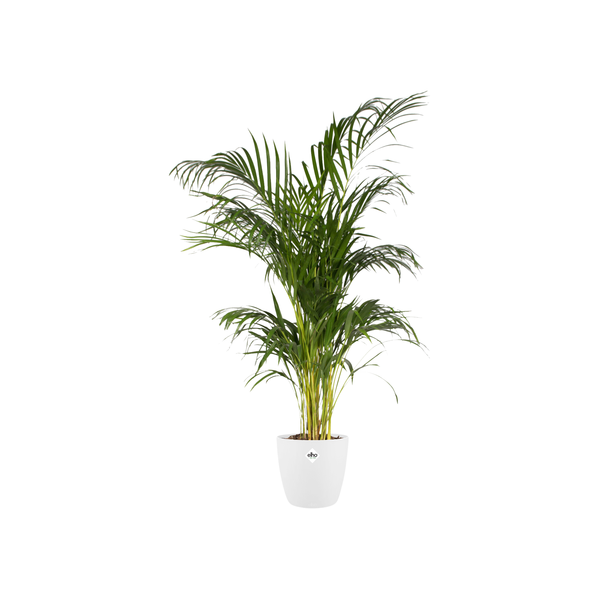 Pot elho Brussels Round Wit D20 x H19