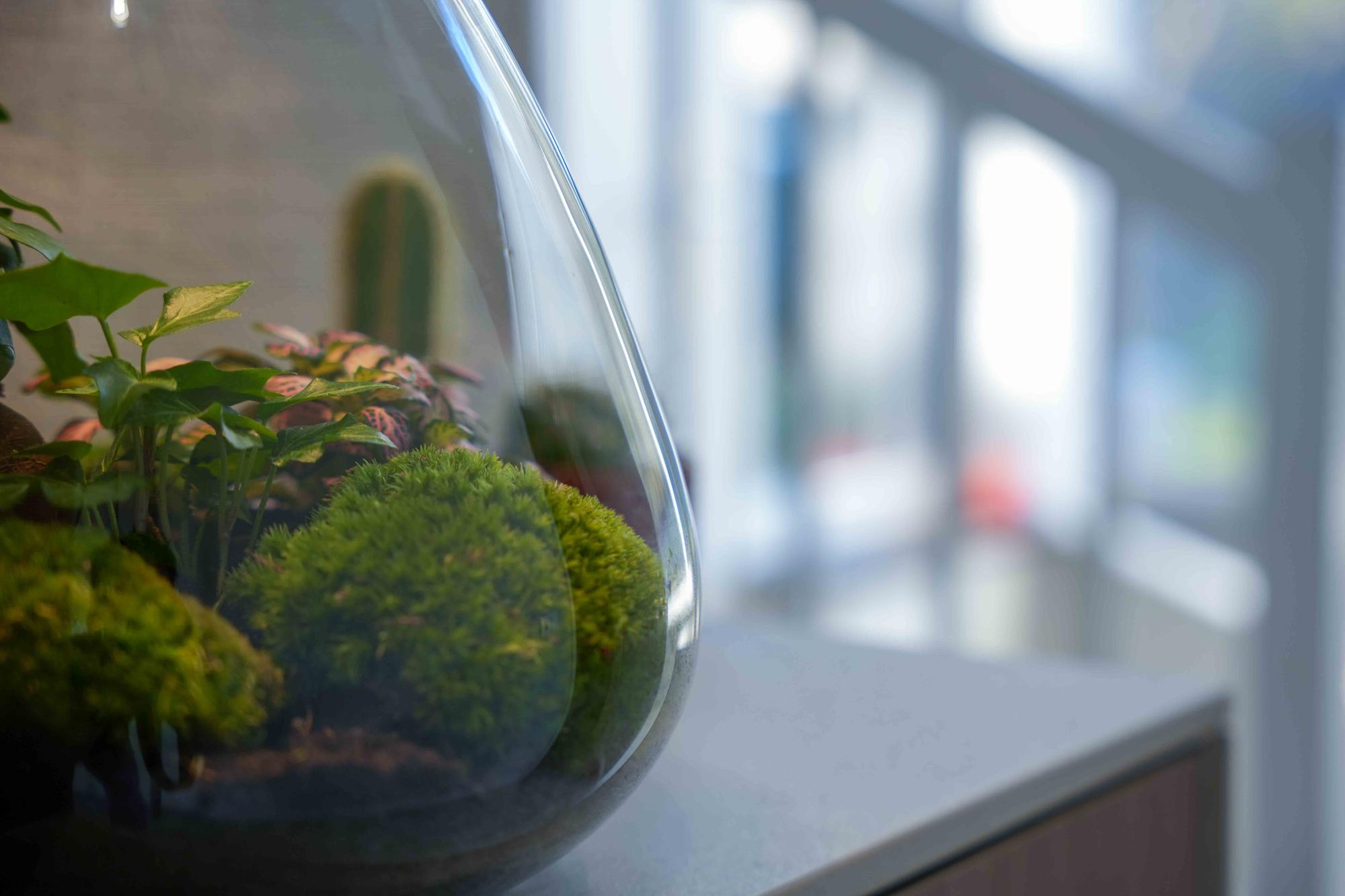 LOVE MOM' terrarium Sam + gegraveerde kurk met licht - Fles terrarium DIY kit - Ø 24.5 cm ↑ 30 cm - Moederdag