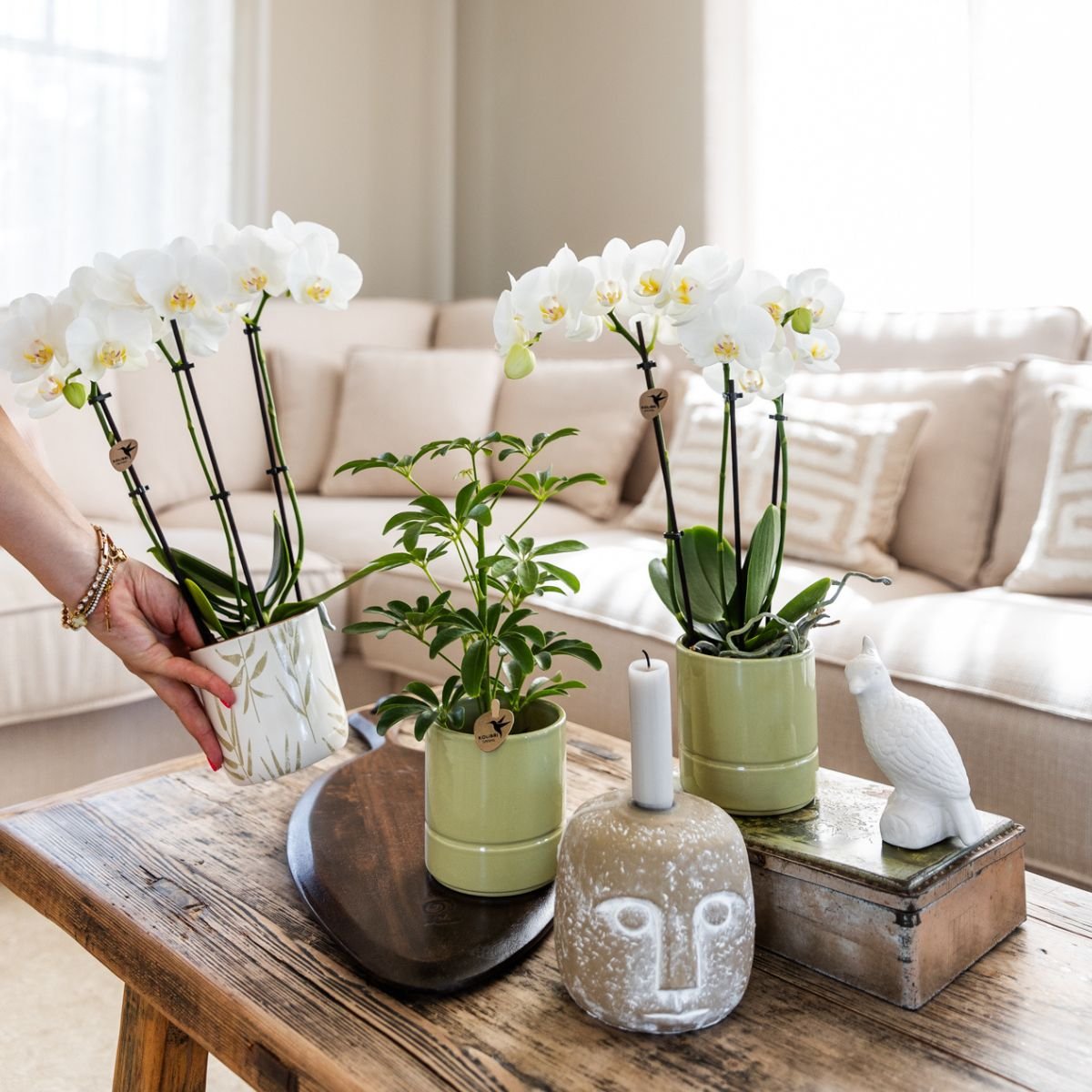 Kolibri Home | Pastel sierpot - Groen