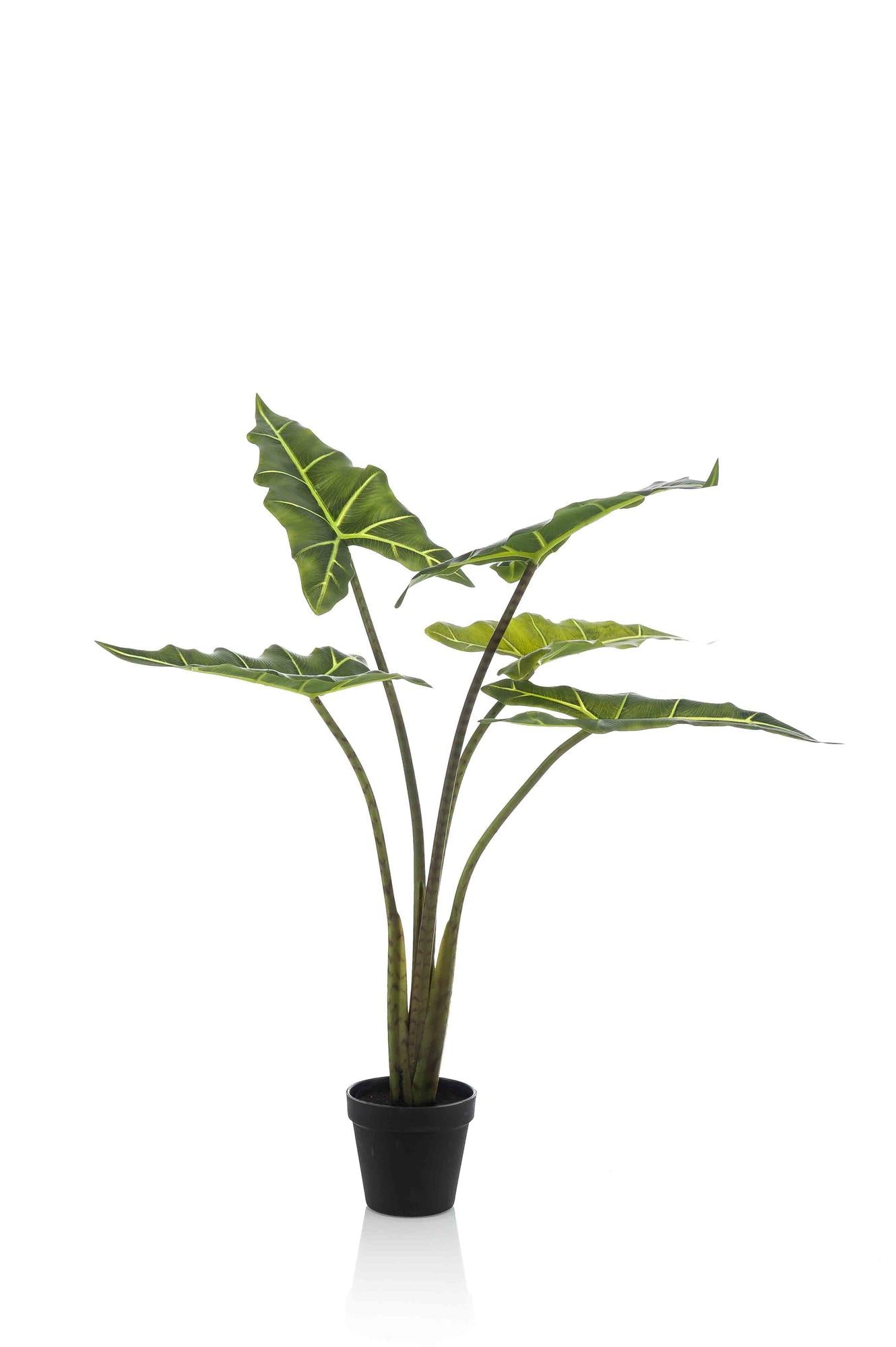 Artificial plant - Alocasia Frydek - Elephant Ear - 80 cm