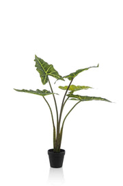 Artificial plant - Alocasia Frydek - Elephant Ear - 80 cm