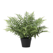 Kunstplant Nephrolepis exaltata - 59cm
