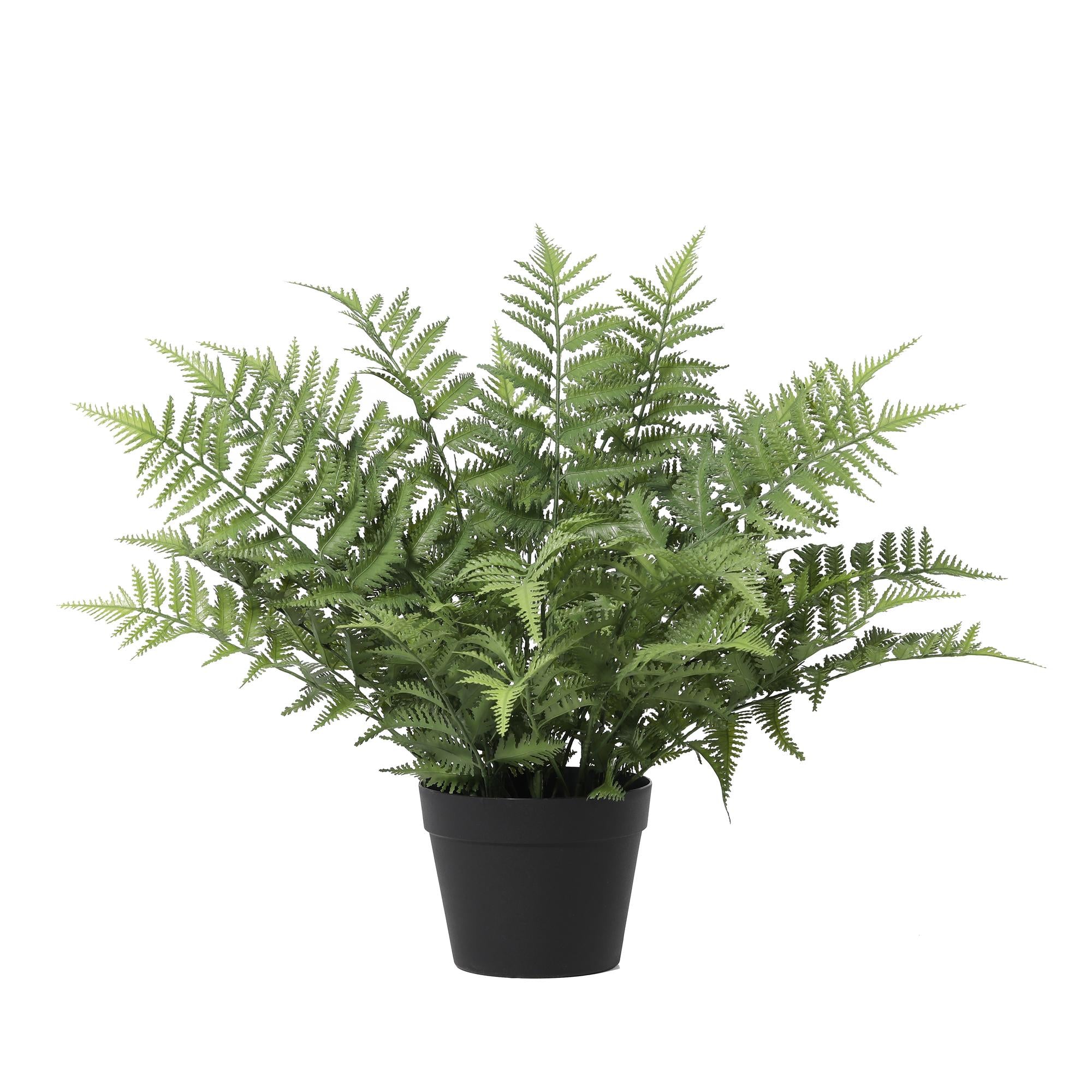 Kunstplant Nephrolepis exaltata - 59cm
