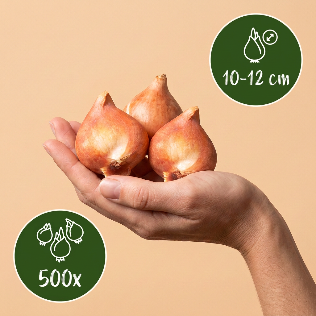 500x Bulb Garden Blue - Bloembollen - Blauwe bollentuinmix - Diversen - Zomerbloeier - Bolmaat 10/12