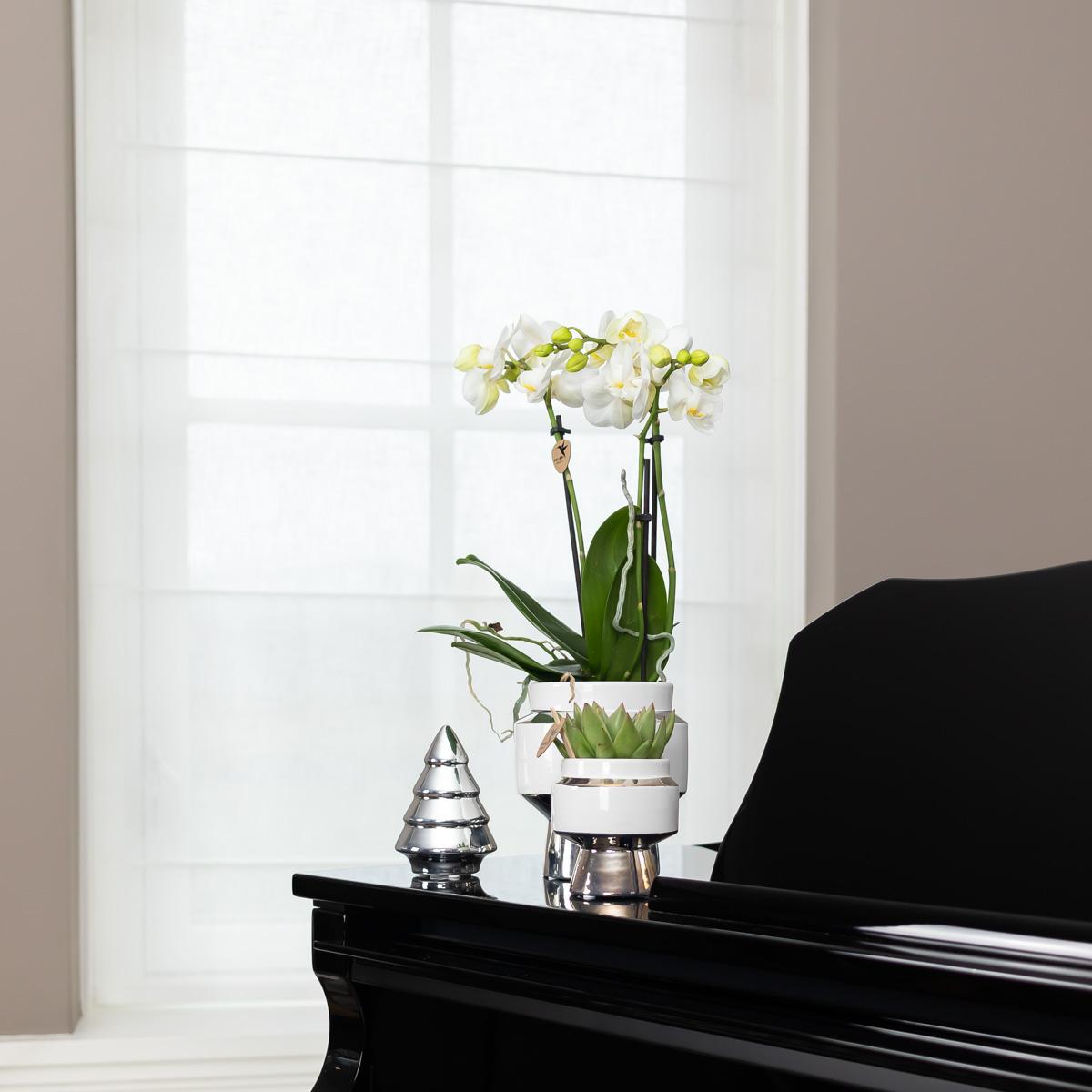 Kolibri Home | Le Chic flowerpot - White ceramic decorative pot with silver details - Ø6cm