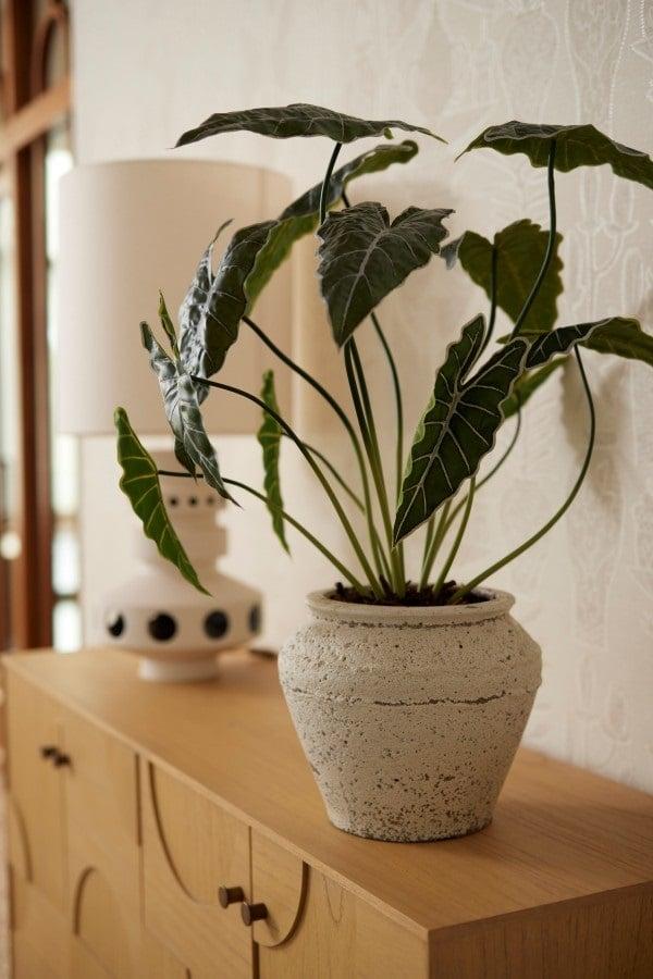 Alocasia 80cm - Pianta artificiale