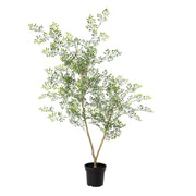 Kunstplant - Bucida - 71cm