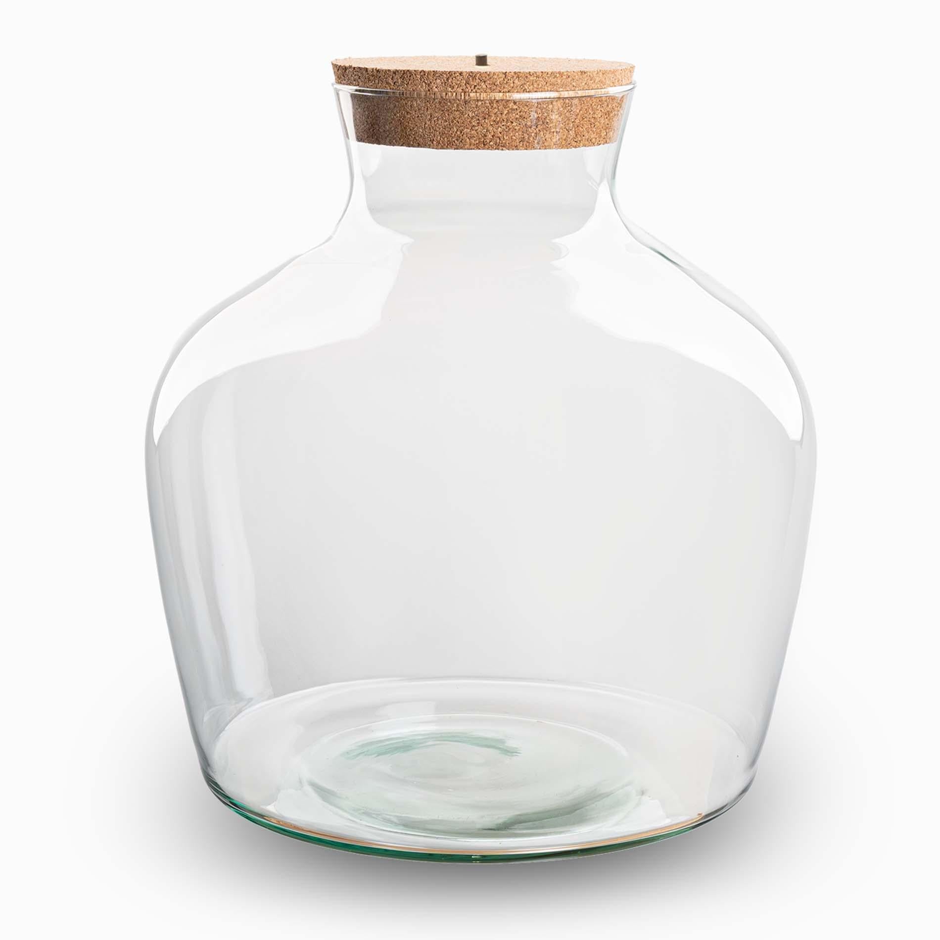 Terrariumflasche mit Korken – Fat Joe + LED-Korken – Geschlossenes Terrarium ↑ 30 cm