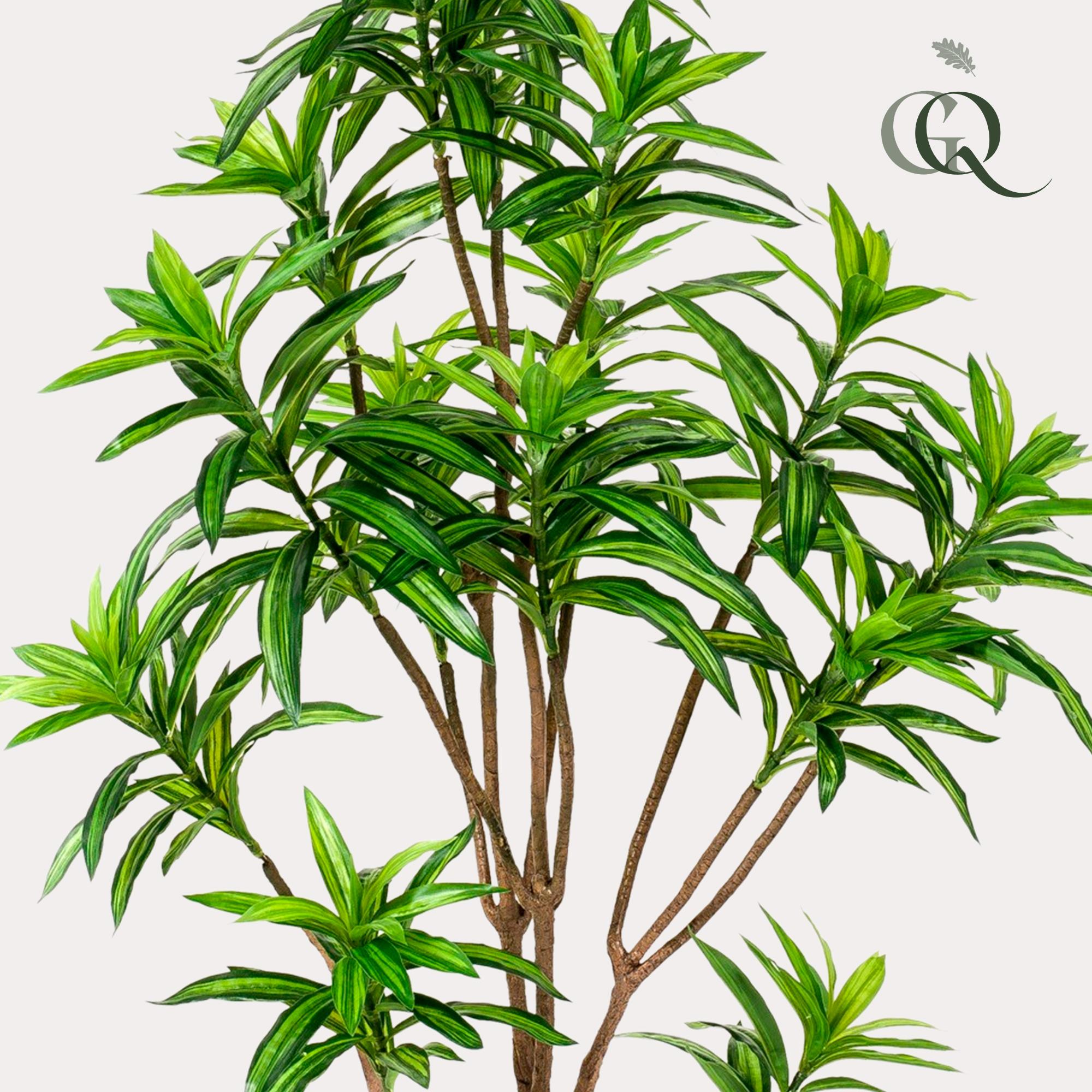 Planta artificial - Dracaena - Árbol del dragón - 155 cm