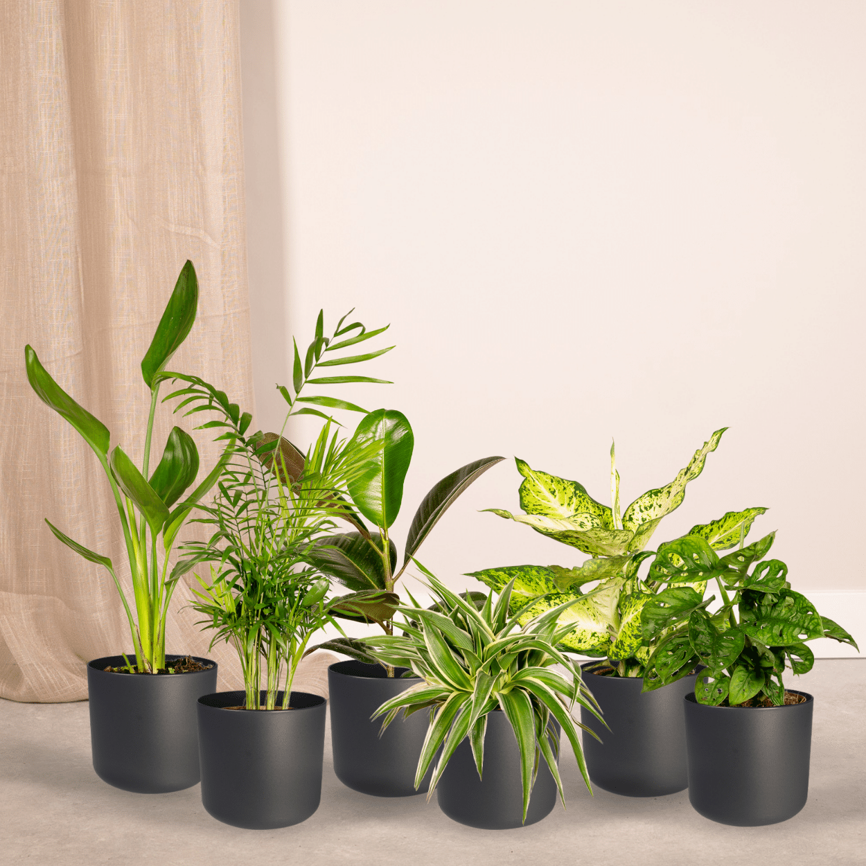 Überraschungsbox – Ø 12 cm – ↕ 25 cm – 10 Stück