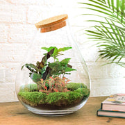 DIY terrarium - Drop XL Rood - ↕ 37 cm - Rake + Shovel