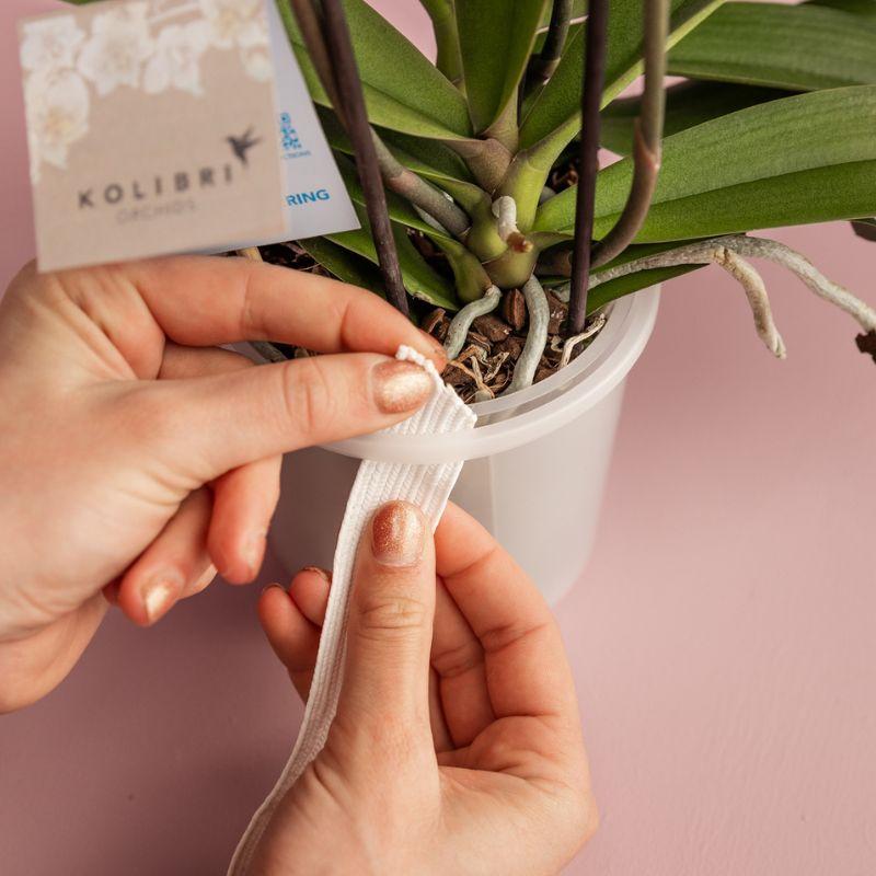 Kolibri Home | Maceta decorativa Como con sistema de riego - 3 x Ø12 cm