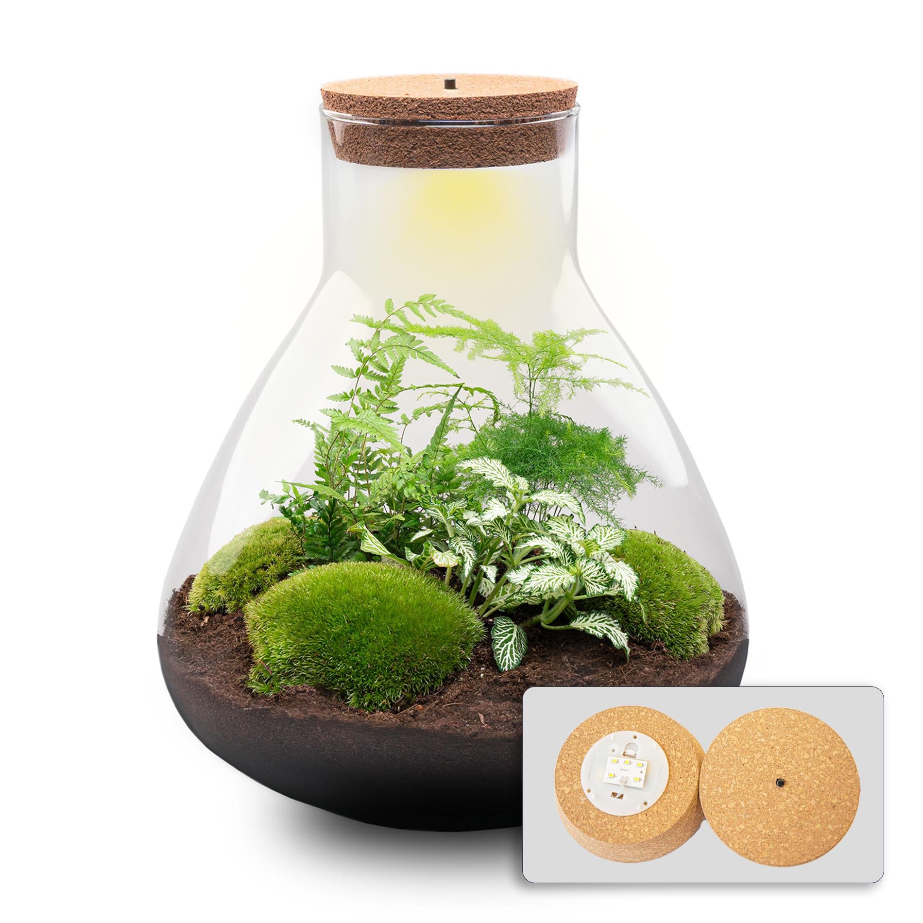 Terrarium - Sam XL + LED - ↑ 32 cm - Selbstbau