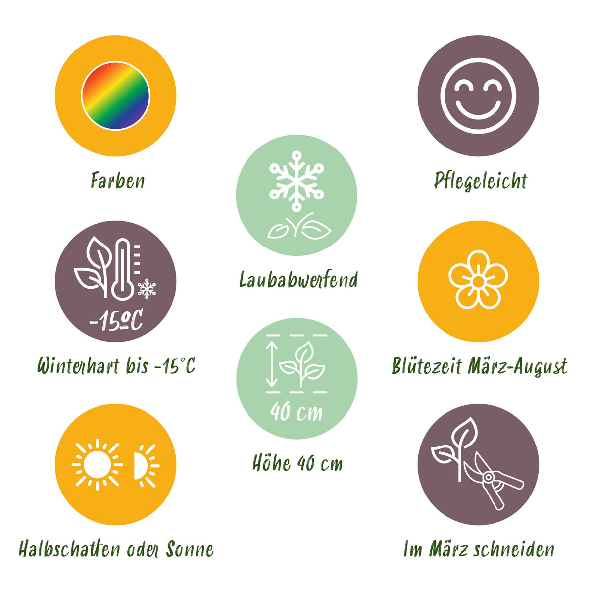 Borderpakket - Bodembedekend - Diversen - Soorten en kleuren - 12 Planten - Pot 11cm - Hoogte 15-25cm
