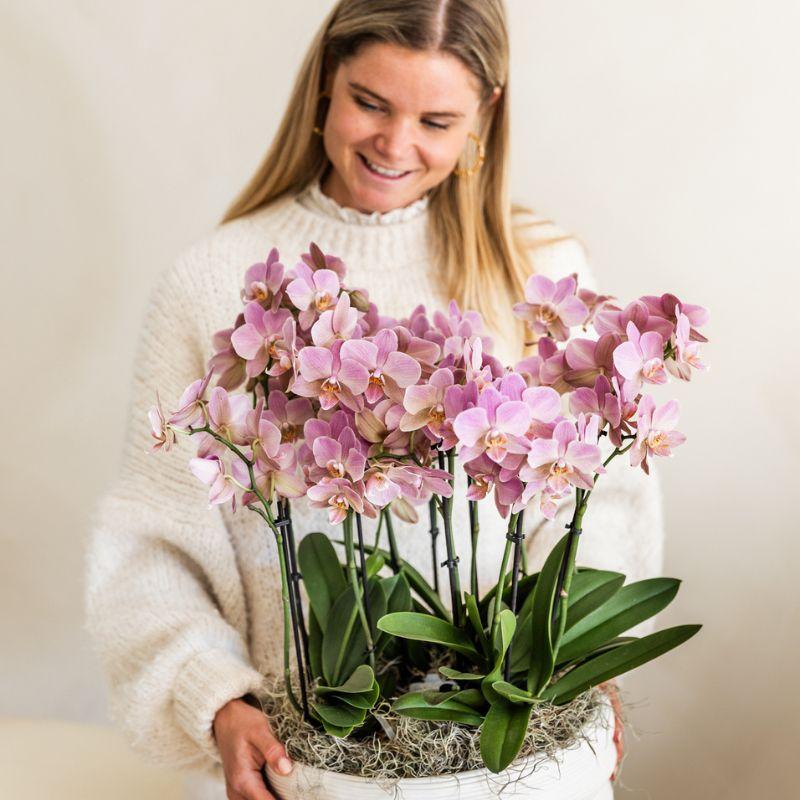 Kolibri Home | Maceta decorativa Como con sistema de riego - 3 x Ø12 cm